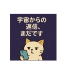 宇宙から来たスピキャット（個別スタンプ：12）