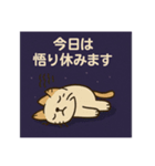 宇宙から来たスピキャット（個別スタンプ：14）