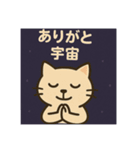 宇宙から来たスピキャット（個別スタンプ：28）