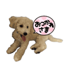 ろい＆まる（個別スタンプ：5）