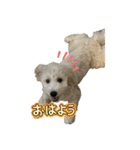 ろい＆まる（個別スタンプ：6）