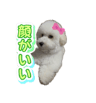 ろい＆まる（個別スタンプ：7）