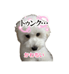 ろい＆まる（個別スタンプ：12）
