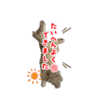 ろい＆まる（個別スタンプ：14）