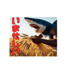 鮫人間～Part12～日常でよく使う言葉（個別スタンプ：19）