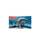 鮫人間～Part12～日常でよく使う言葉（個別スタンプ：31）