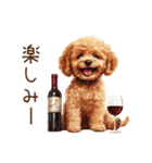 ビールを飲む犬☆トイプードル（個別スタンプ：12）