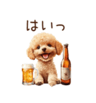ビールを飲む犬☆トイプードル（個別スタンプ：16）