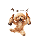 ビールを飲む犬☆トイプードル（個別スタンプ：25）