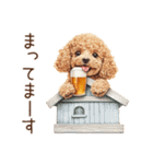 ビールを飲む犬☆トイプードル（個別スタンプ：29）