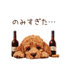 ビールを飲む犬☆トイプードル（個別スタンプ：35）