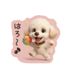 トイプードルのMちゃんスタンプ（個別スタンプ：1）