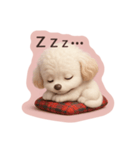トイプードルのMちゃんスタンプ（個別スタンプ：5）