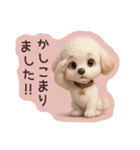 トイプードルのMちゃんスタンプ（個別スタンプ：6）