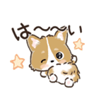 愛犬☆コーギーdeごあいさつ☆敬語入り（個別スタンプ：3）