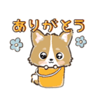 愛犬☆コーギーdeごあいさつ☆敬語入り（個別スタンプ：5）