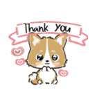 愛犬☆コーギーdeごあいさつ☆敬語入り（個別スタンプ：6）