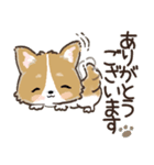 愛犬☆コーギーdeごあいさつ☆敬語入り（個別スタンプ：7）