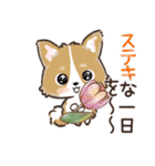 愛犬☆コーギーdeごあいさつ☆敬語入り（個別スタンプ：12）