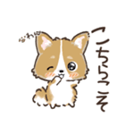 愛犬☆コーギーdeごあいさつ☆敬語入り（個別スタンプ：15）