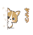 愛犬☆コーギーdeごあいさつ☆敬語入り（個別スタンプ：20）