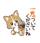 愛犬☆コーギーdeごあいさつ☆敬語入り（個別スタンプ：23）