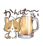 愛犬☆コーギーdeごあいさつ☆敬語入り（個別スタンプ：24）