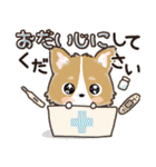 愛犬☆コーギーdeごあいさつ☆敬語入り（個別スタンプ：25）