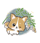 愛犬☆コーギーdeごあいさつ☆敬語入り（個別スタンプ：38）