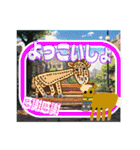 ゆかいな動物たちの りょこう ごうかばん（個別スタンプ：35）
