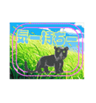 ゆかいな動物たちの りょこう ごうかばん（個別スタンプ：38）