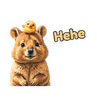 愛らしいクオッカ5 （英語）（個別スタンプ：1）