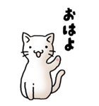 にゃんころろ 01（日常会話）（個別スタンプ：1）
