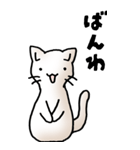 にゃんころろ 01（日常会話）（個別スタンプ：3）