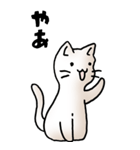 にゃんころろ 01（日常会話）（個別スタンプ：5）