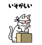 にゃんころろ 01（日常会話）（個別スタンプ：11）