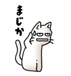 にゃんころろ 01（日常会話）（個別スタンプ：14）