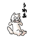 にゃんころろ 01（日常会話）（個別スタンプ：15）