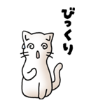 にゃんころろ 01（日常会話）（個別スタンプ：17）