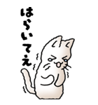 にゃんころろ 01（日常会話）（個別スタンプ：20）