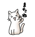 にゃんころろ 01（日常会話）（個別スタンプ：37）