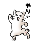 にゃんころろ 01（日常会話）（個別スタンプ：40）