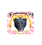 みかんの動く挨拶（個別スタンプ：3）