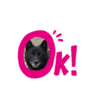 みかんの動く挨拶（個別スタンプ：8）