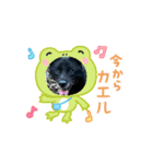 みかんの動く挨拶（個別スタンプ：9）