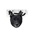 みかんの動く挨拶（個別スタンプ：13）