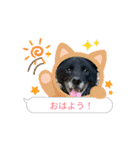 みかんの動く挨拶（個別スタンプ：15）