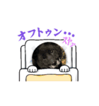 みかんの動く挨拶（個別スタンプ：16）