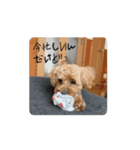 ついに動きだした！くう＆ふーたろ（個別スタンプ：2）