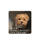 ついに動きだした！くう＆ふーたろ（個別スタンプ：3）